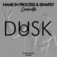Name In Process, Sinapsy - Cenzontle (Camazots Remix)