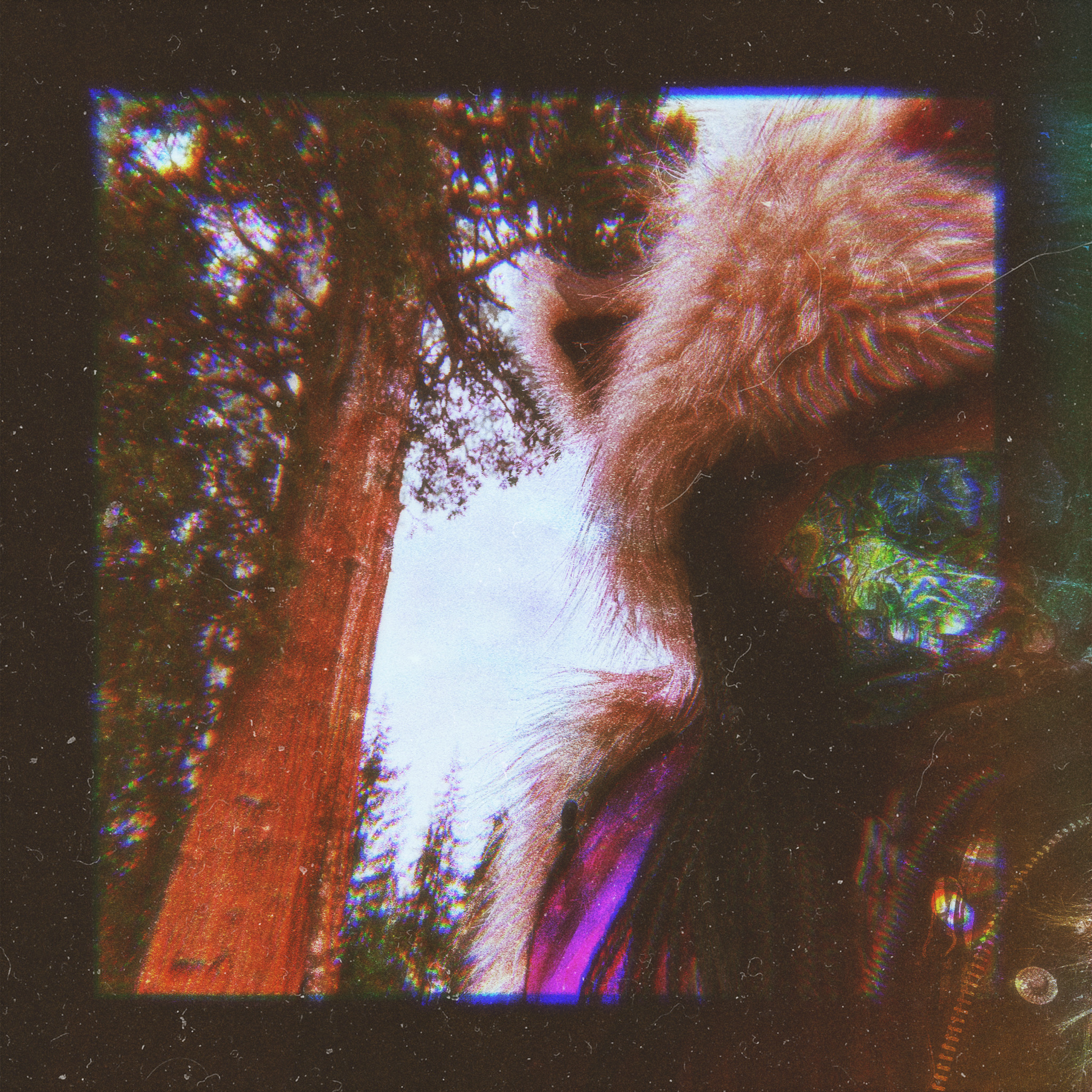 Gold (Feat. BANGDADDY, De León)