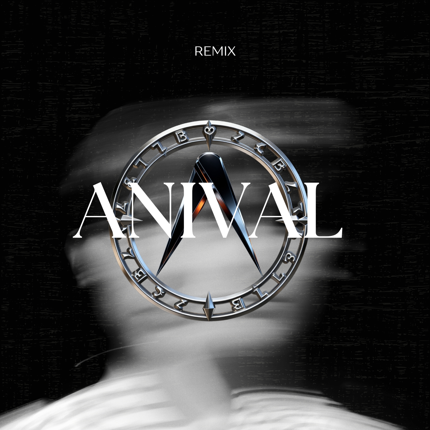 Vielleicht VIelleicht (ANIVAL Remix)