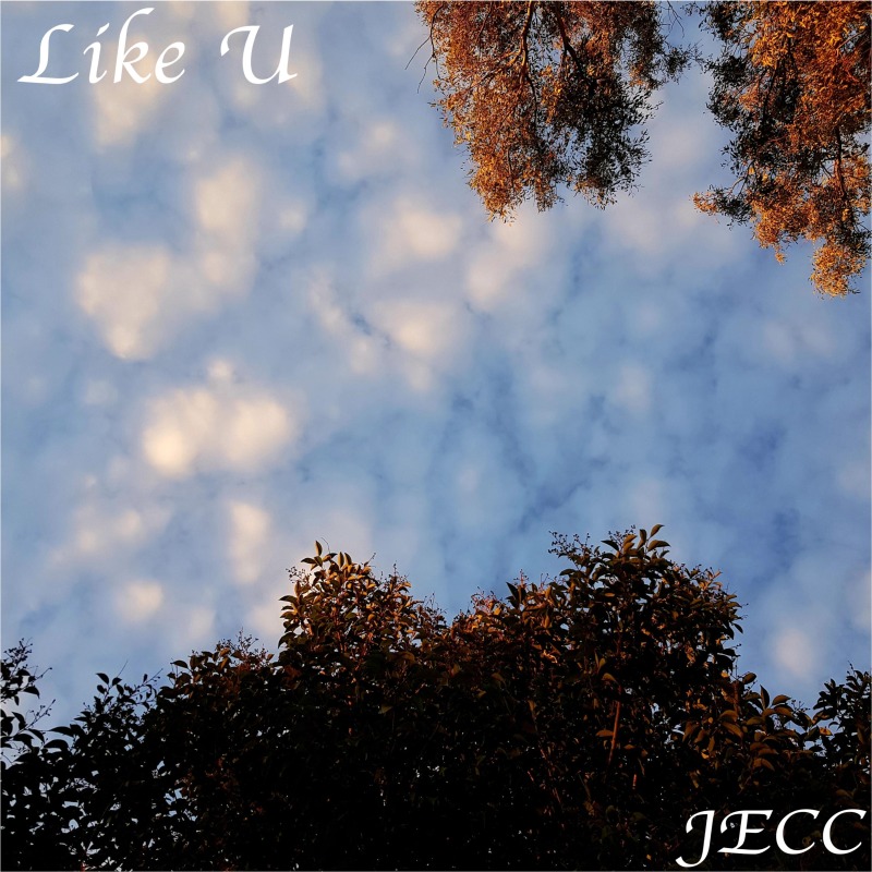 Like U