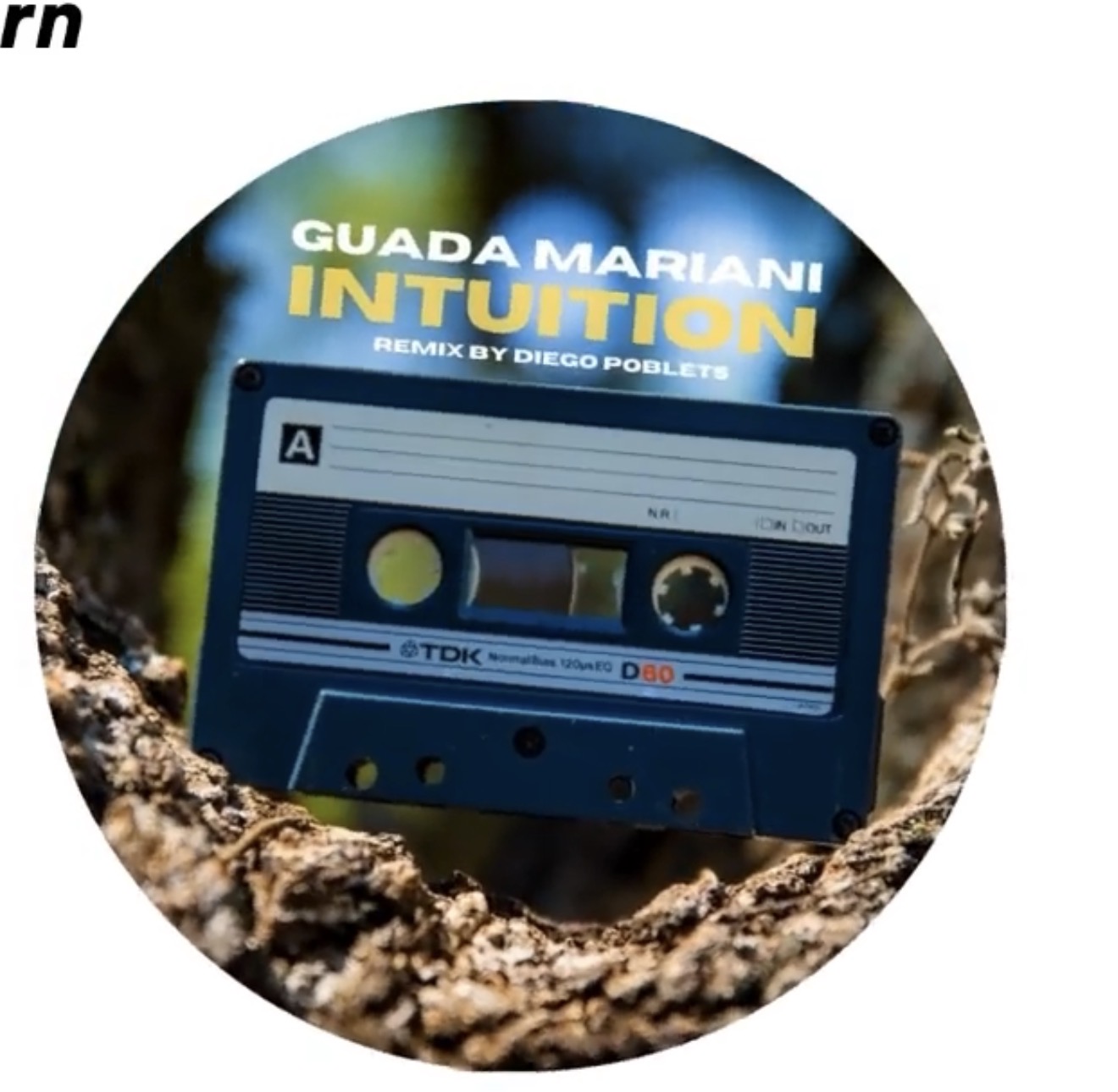 Intuition-Guada Mariani