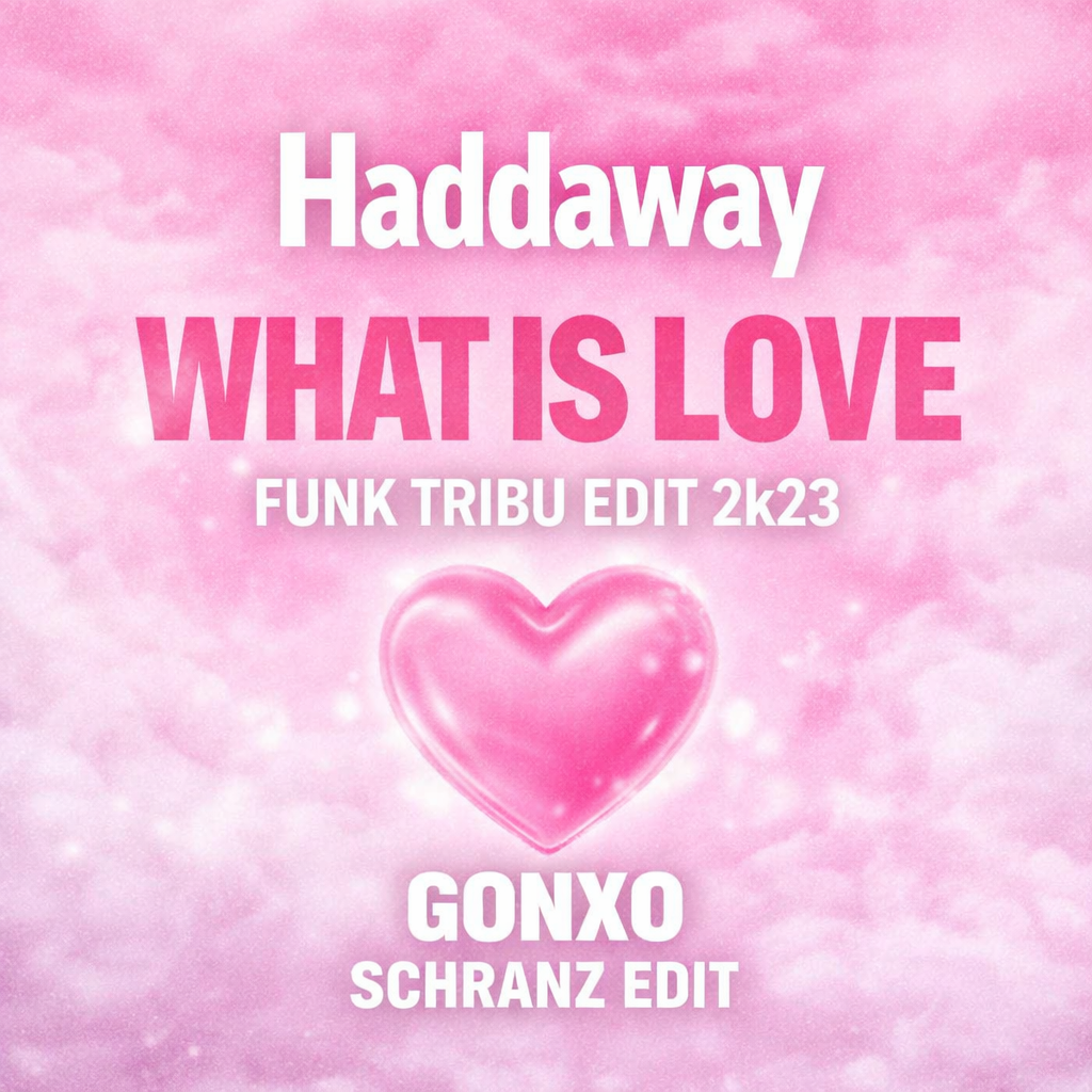 WHAT IS LOVE (Funk Tribu edit2k23) - GONXO SCHRANZ EDIT
