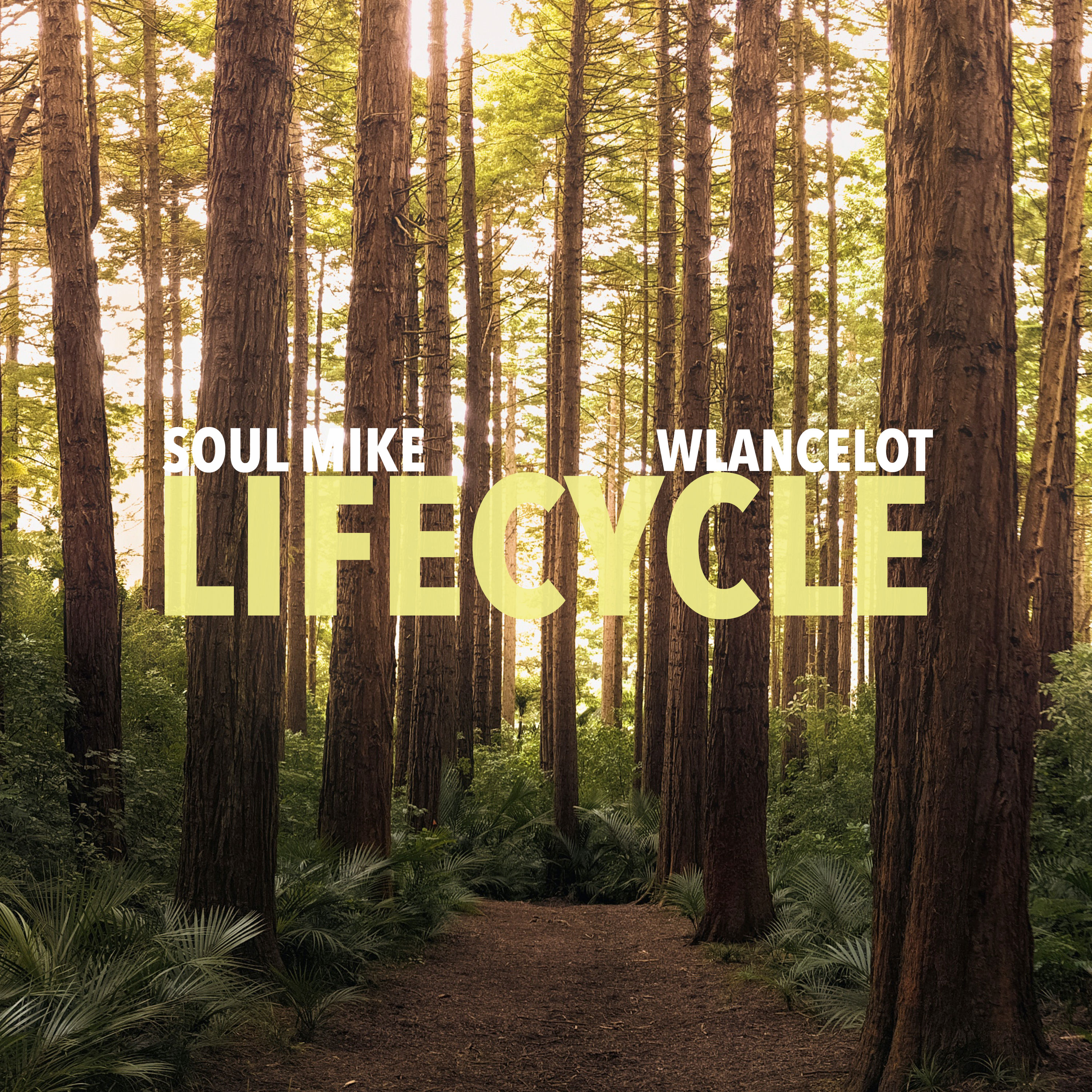 Wlancelot - Lifecycle (Soul Mike Remix)