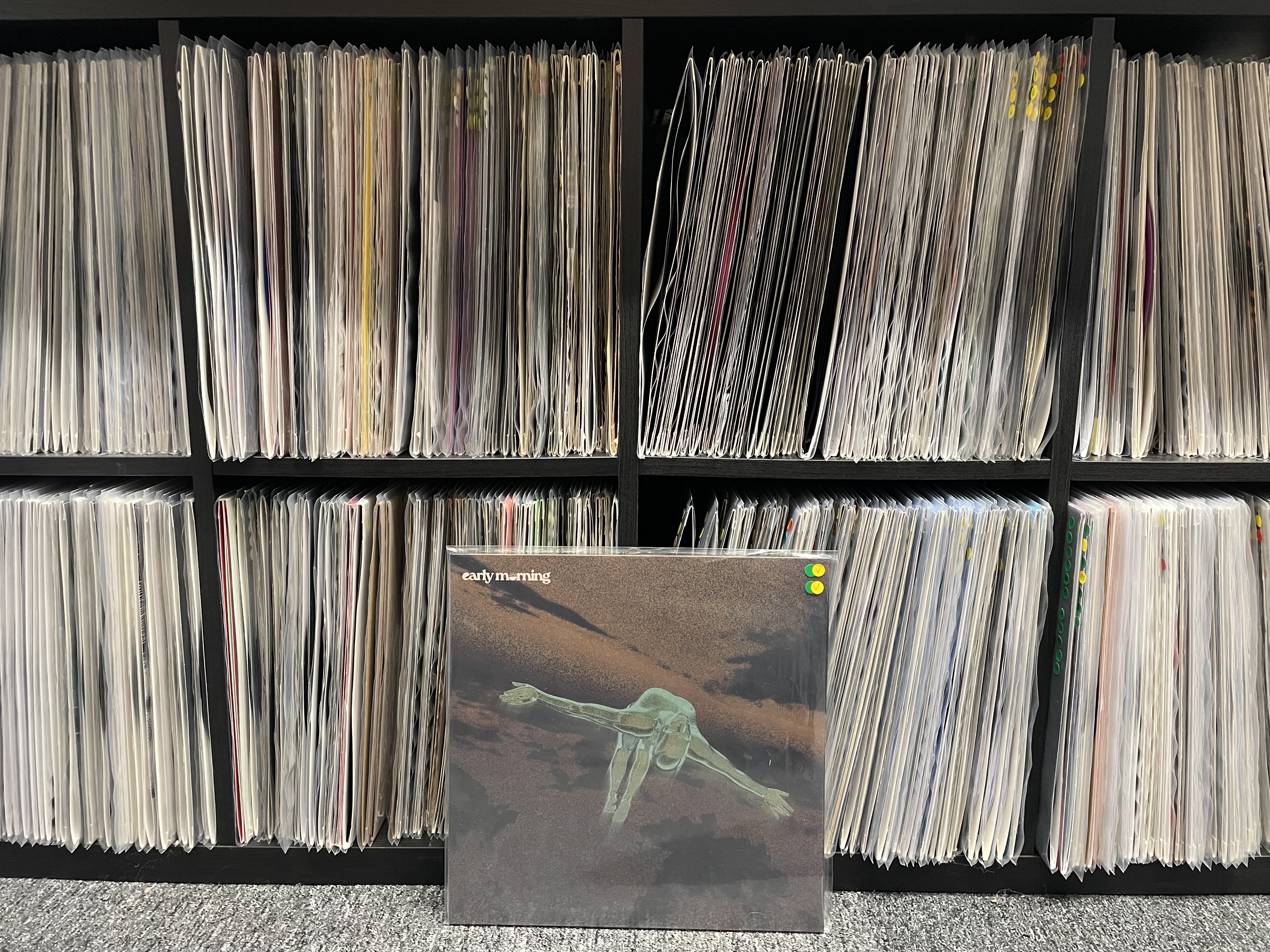 Dub trechno / progressive house vinyl set