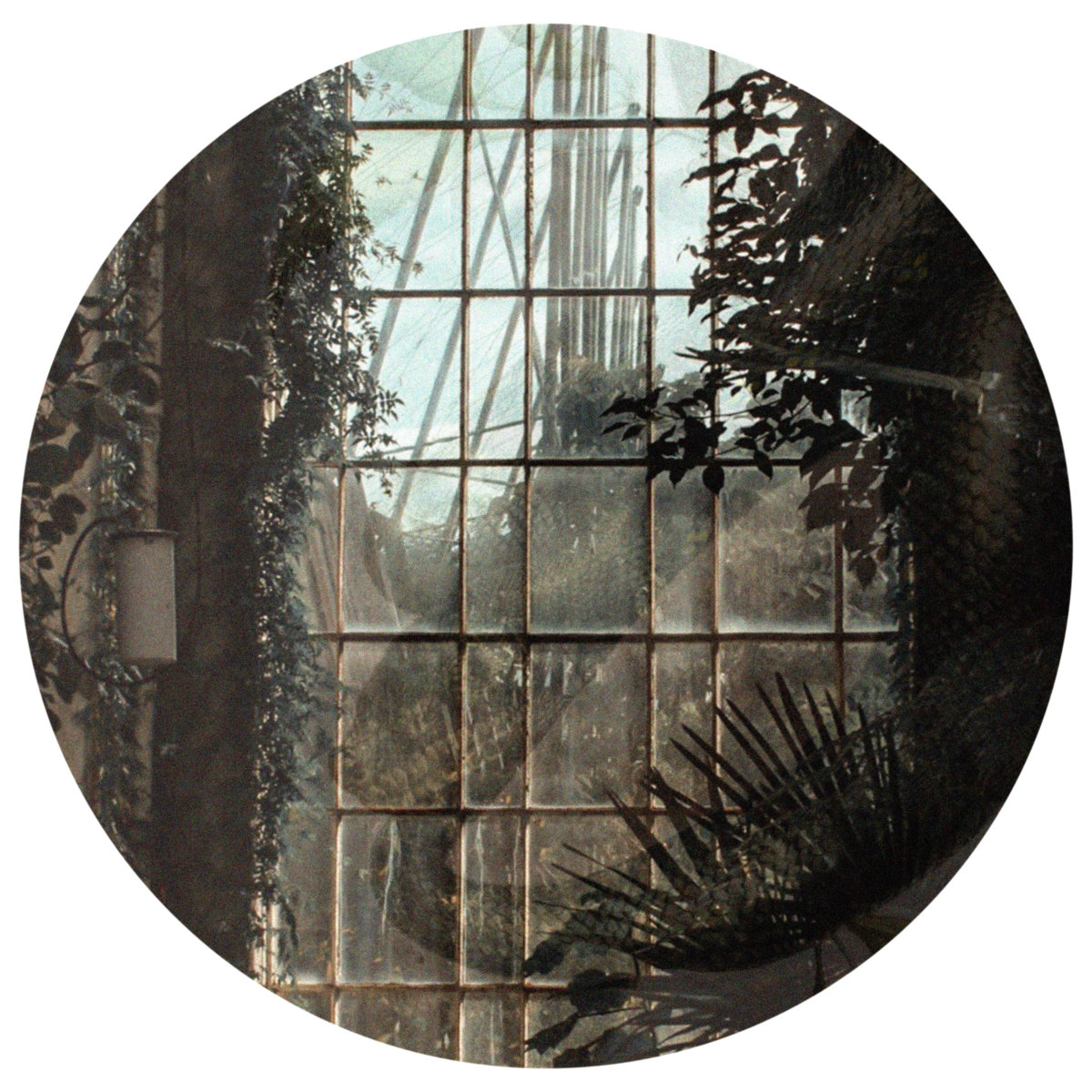 The Snake And Fern