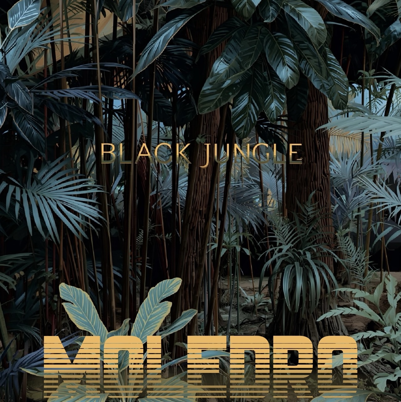 BLACK JUNGLE