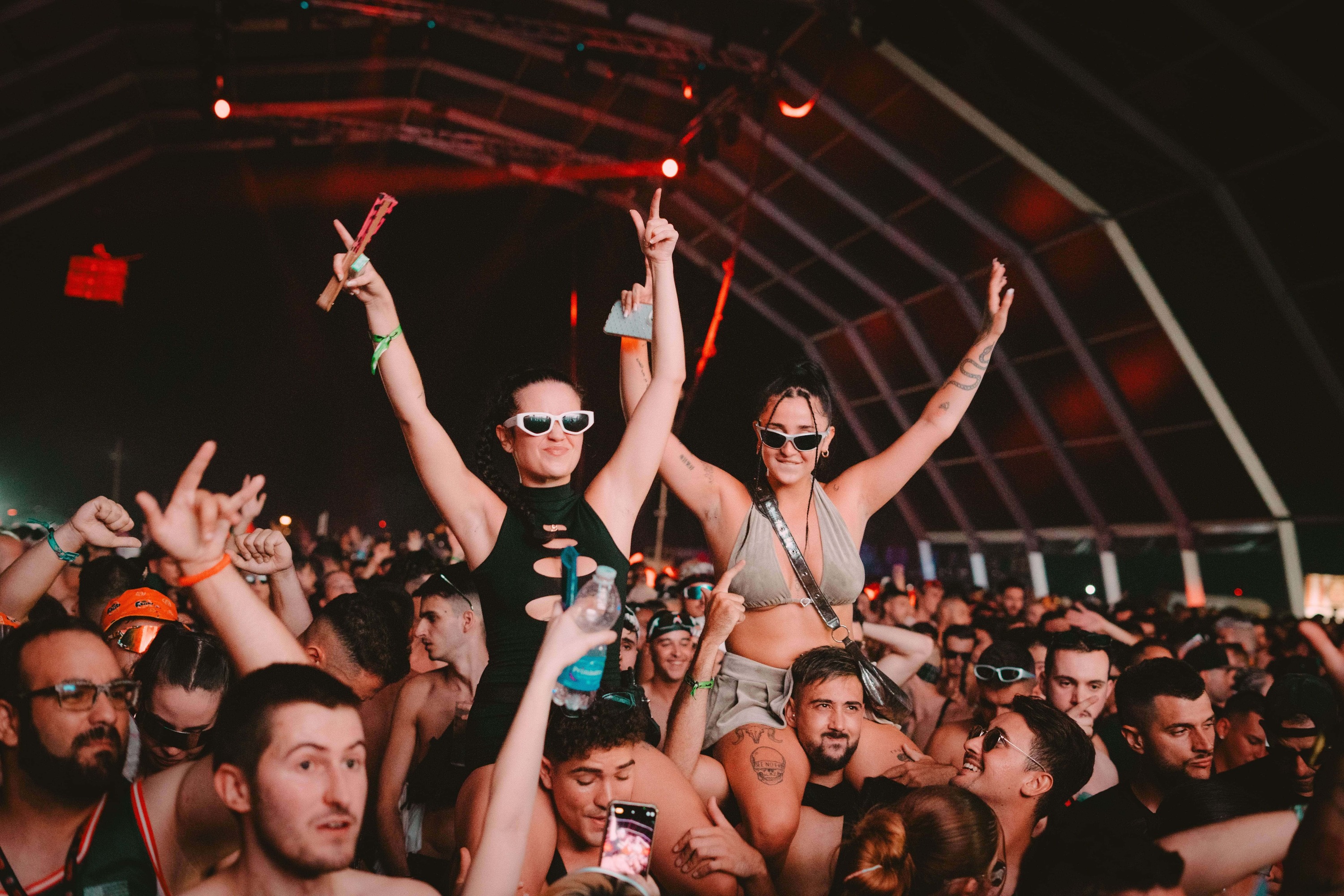 Excited crowd celebrating at Dreambeach festival