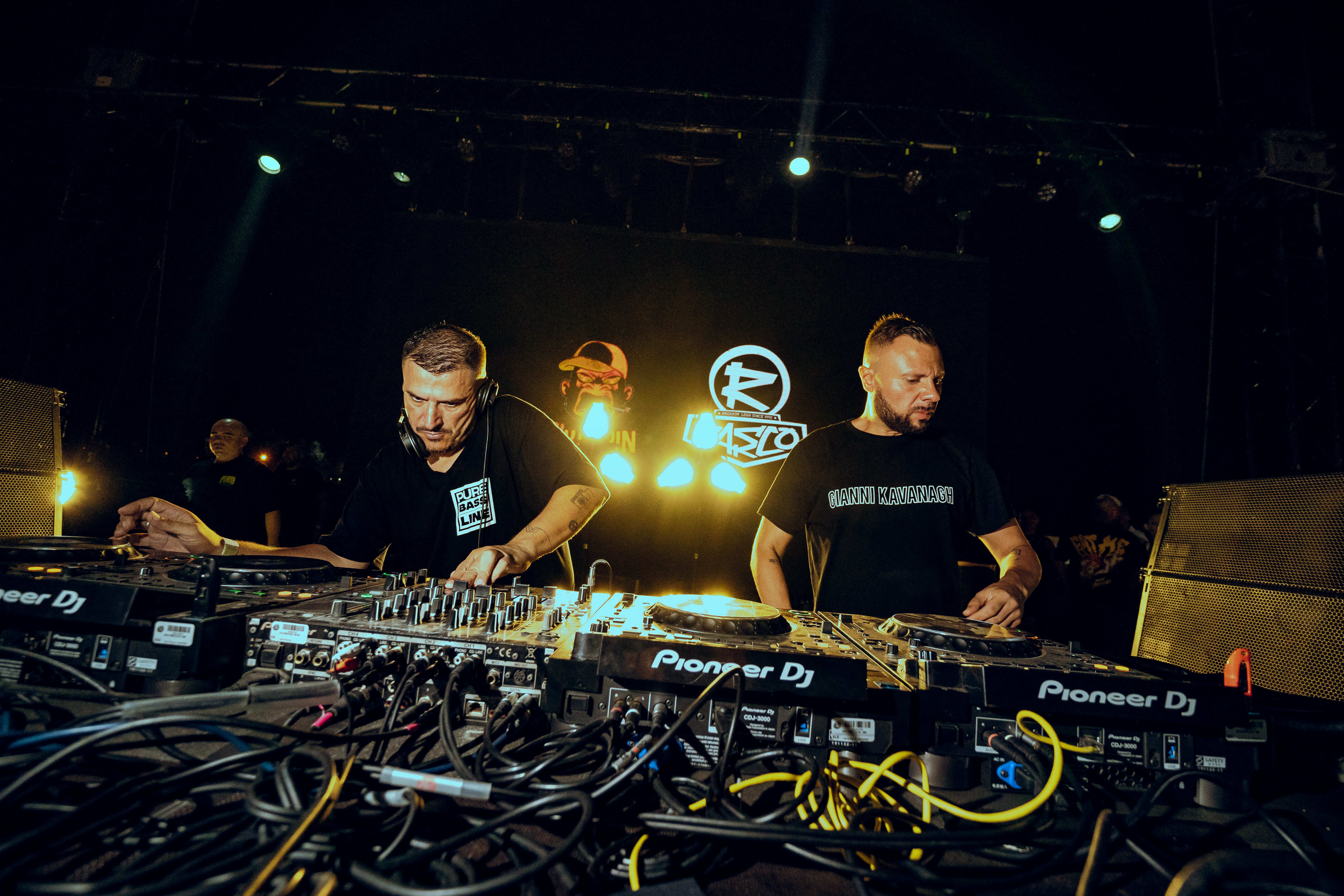 Professional DJs performing at Dreambeach festival